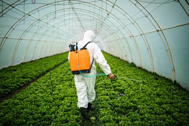 Professional Pest Control in Tornado, WV