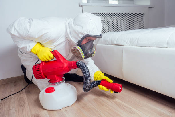 Best Pest Control for Businesses  in Tornado, WV
