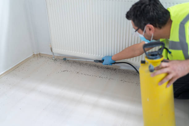 Best Exterminator Services  in Tornado, WV